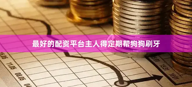 最好的配资平台主人得定期帮狗狗刷牙