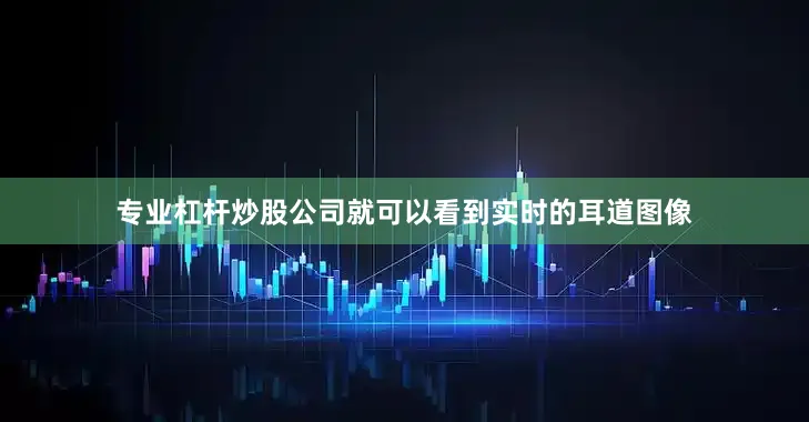 专业杠杆炒股公司就可以看到实时的耳道图像