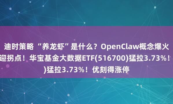 迪时策略 “养龙虾”是什么？OpenClaw概念爆火，云计算或迎拐点！华宝基金大数据ETF(516700)猛拉3.73%！优刻得涨停