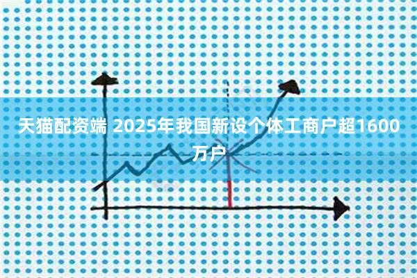 天猫配资端 2025年我国新设个体工商户超1600万户
